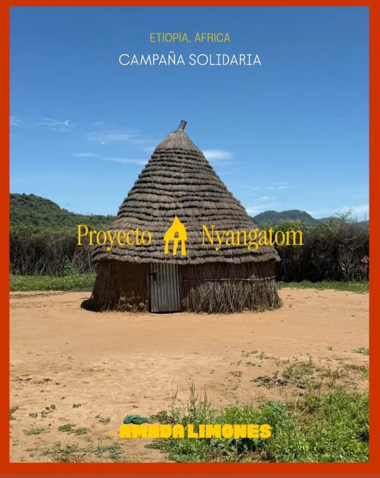 Thatched round hut in a rural landscape under a clear blue sky, with orange border and yellow campaign text 'Proyecto Nyangatom' and 'CampaÃ±a Solidaria' indicating a solidarity effort for Africa (Ethiopia).